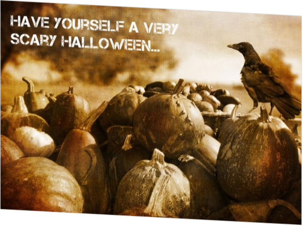 Halloweenkaart 'Een kraai in pompoenen veld' 
