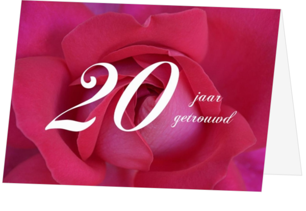Jubileumkaart roze roos